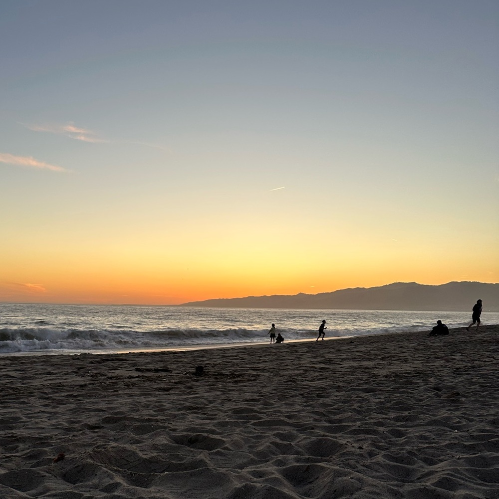 Meet your Posher, Riley